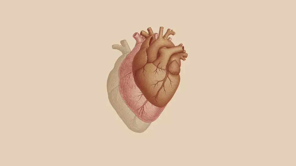 Scompenso cardiaco, nasce il gruppo di lavoro per la diagnosi precoce