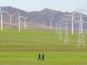 Presidente WBCSD “Cina attore chiave in transizione globale per sostenibilità”